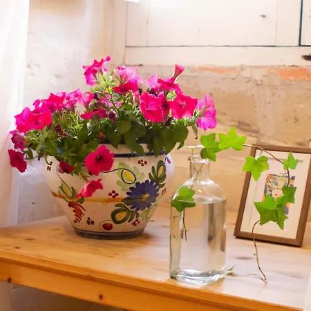 Traditional Townhouse Near Seafront, Roof Terrace Rthe1-1 Senglea