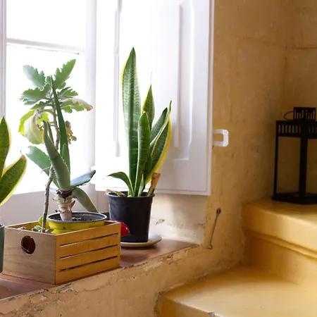 Traditional Townhouse Near Seafront, Roof Terrace Rthe1-1 * Senglea