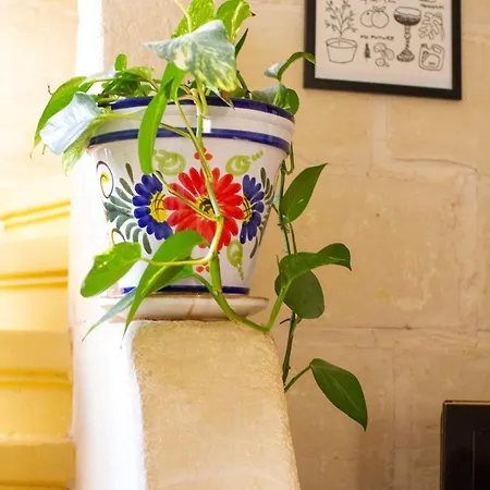 דירה Traditional Townhouse Near Seafront, Roof Terrace Rthe1-1