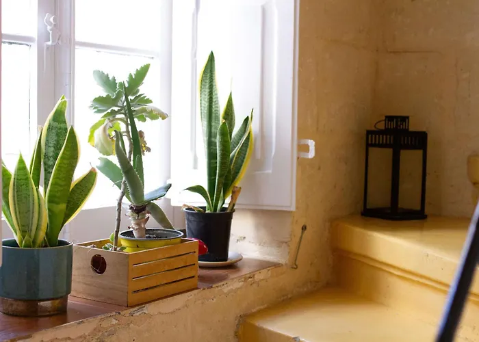 Traditional Townhouse Near Seafront, Roof Terrace Rthe1-1 * Senglea